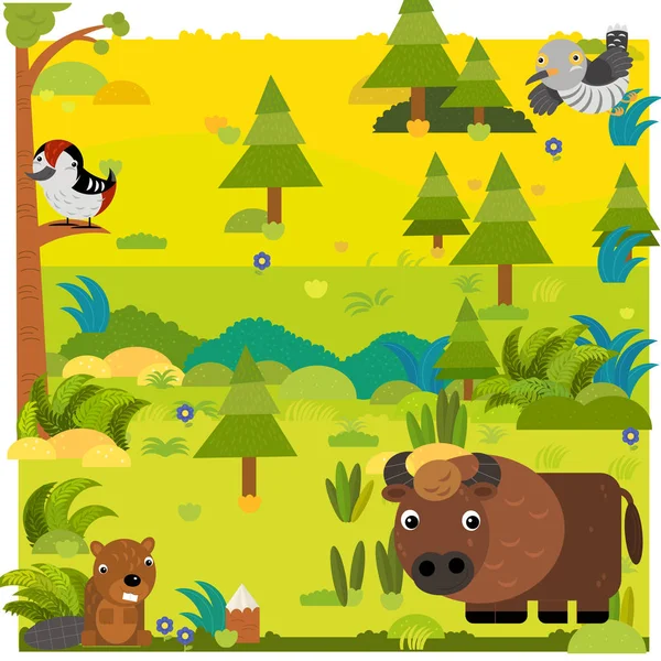 Cartoon forest with wild animal bison buffalo and other animals illustration — Stock Photo, Image