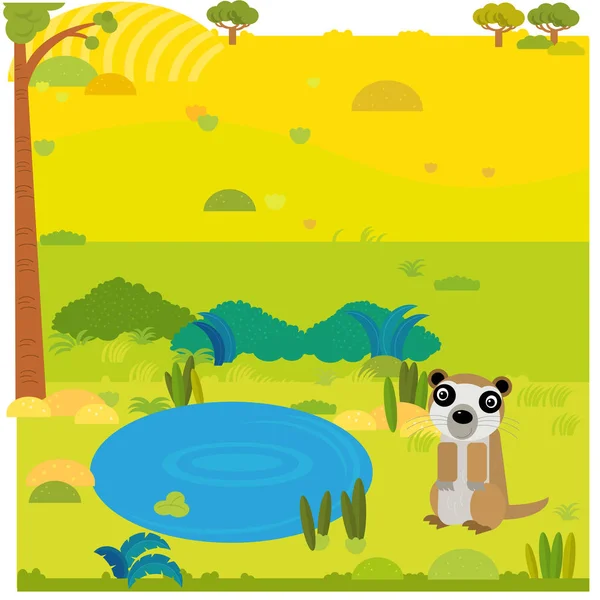 Scène de safari dessin animé avec suricate animal sauvage sur l'illustration de prairie — Photo