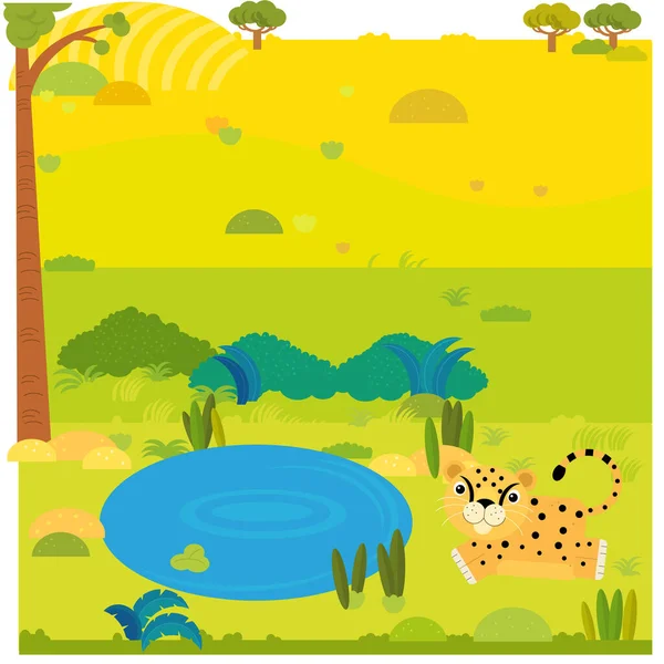 Cartoon safari scene with wild animal cheetah on the meadow illustration — 스톡 사진