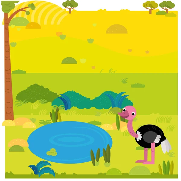 Scène de safari dessin animé avec autruche sauvage sur l'illustration de prairie — Photo