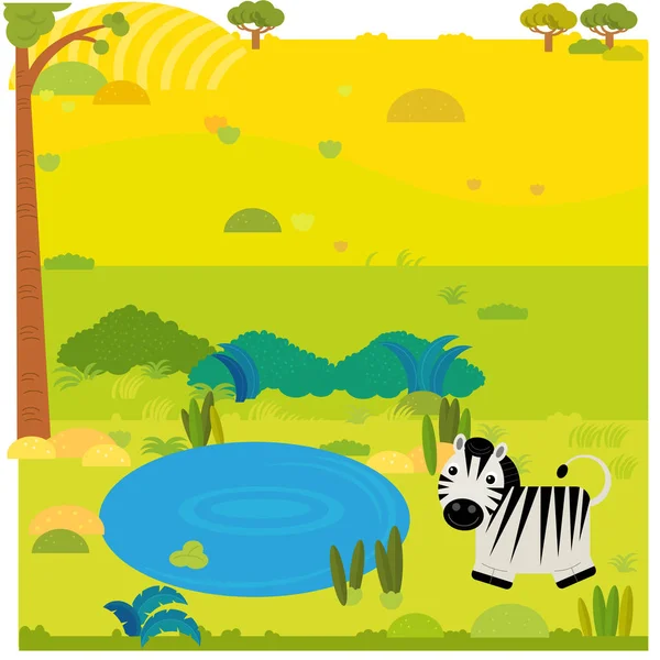 Escena de safari de dibujos animados con cebra animal salvaje en la ilustración del prado —  Fotos de Stock