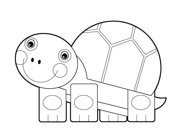 Cartoon scene with turtle on white background illustration — Stock Photo, Image