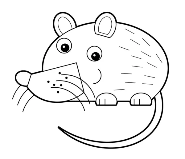 Kreskówka zwierząt gryzonia myszy lub szczura na białym tle kolorowanki — Zdjęcie stockowe