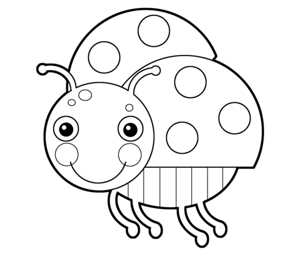Cartoon animal insect ladybug on white background - coloring pag