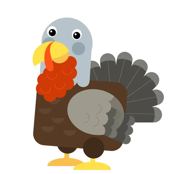 Cartoon funny turkey isolated on white background - illustration — Stock Photo, Image