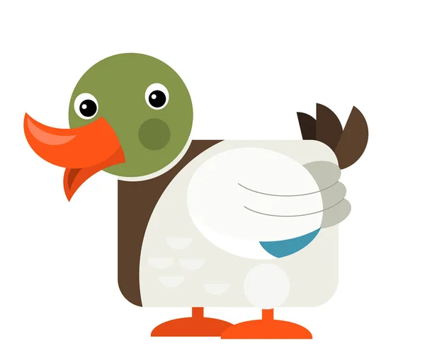 Cartoon funny duck isolated on white background - illustration — 스톡 사진