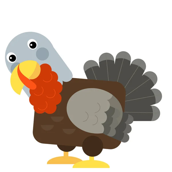 Cartoon funny turkey isolated on white background - illustration — Stockfoto