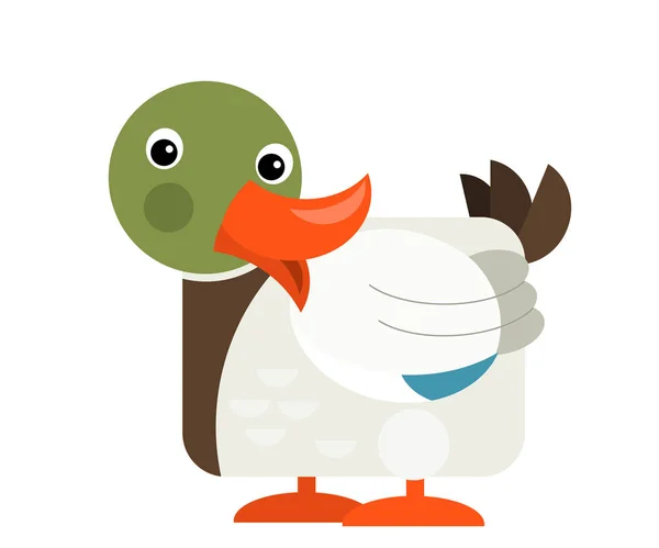 Cartoon funny duck isolated on white background - illustration — Stok fotoğraf