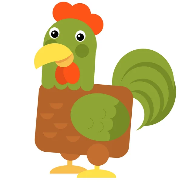 Dibujos animados divertido gallo de pollo pájaro aislado sobre fondo blanco —  Fotos de Stock