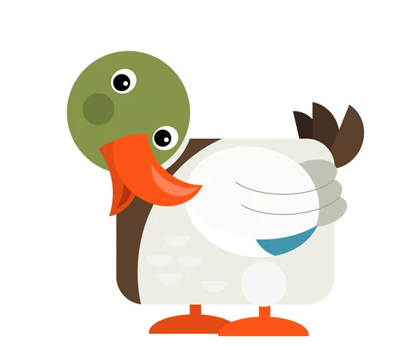Cartoon funny duck isolated on white background - illustration — Stockfoto