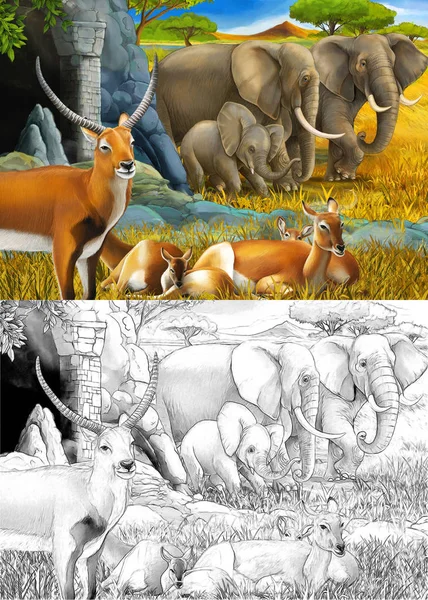 Dessin animé et scène de safari en couleur avec famille d'antilopes et d'éléphants sur l'illustration de prairie pour enfants — Photo