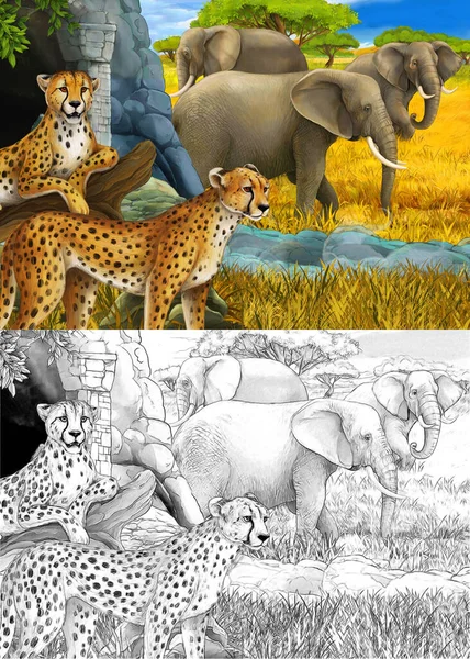 Kreslená kresba a barevná scéna se safari zvířaty gepardem a slony na louce ilustrace pro děti — Stock fotografie
