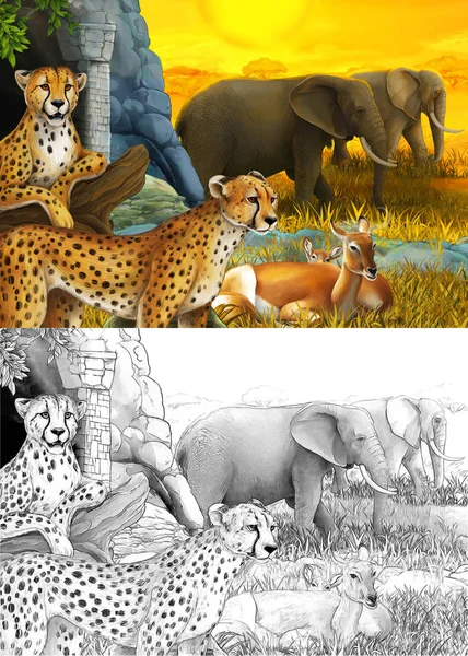 Sarjakuva luonnos ja väri kohtaus safari eläimiä gepardi antilooppeja ja norsuja niitty kuvitus lapsille — kuvapankkivalokuva