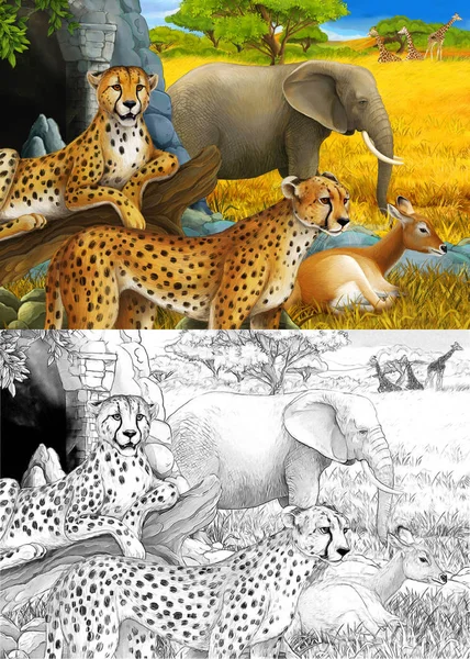 Dessin animé et scène de couleur avec des animaux safari guépard antilopes et éléphants sur l'illustration de prairie pour enfants — Photo