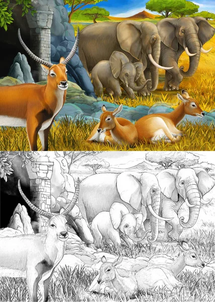 Мультяшний ескіз і кольорова сцена сафарі з сім'єю антилопів і слона на лузі ілюстрація для дітей — стокове фото