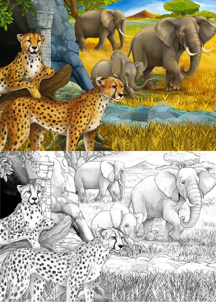 cartoon sketch and color scene with safari animals cheetah and elephants on the meadow illustration for children