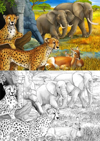 cartoon sketch and color scene with safari animals cheetah antelopes and elephants on the meadow illustration for children