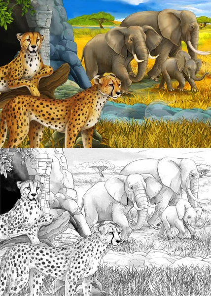 Rajzfilm vázlat és színes jelenet szafari állatok gepárd és elefántok a réten illusztráció gyerekeknek — Stock Fotó