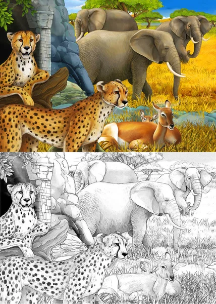 漫画のスケッチや色のシーンとともにサファリ動物チーターカモシカやゾウのための牧草地イラスト — ストック写真