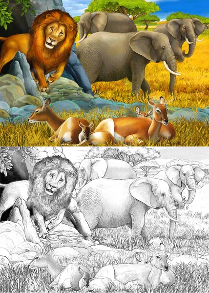 cartoon sketch and color scene with elephant antelope and lion o