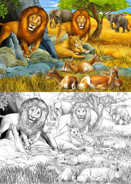 Kreslený náčrt a barevná scéna se sloní antilopa a lev o — Stock fotografie