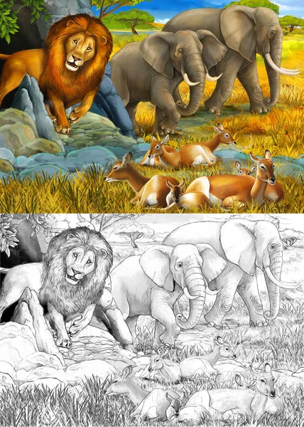 Dessin animé et scène de couleur avec éléphant antilope et lion o — Photo