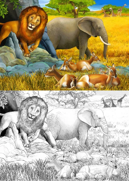 Dessin animé et scène de couleur avec éléphant antilope et lion o — Photo