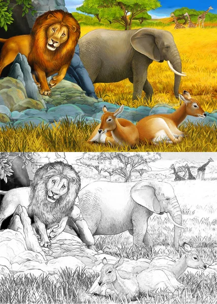 Мультяшний ескіз і кольорова сцена зі слоном антилопа і лева на лузі, що відпочиває ілюстрація для дітей — стокове фото