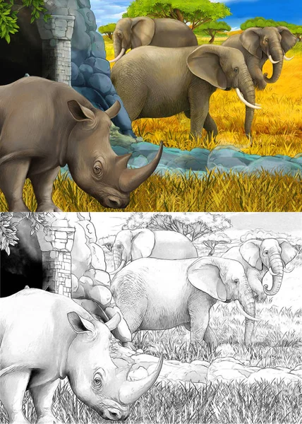 Dessin animé et scène de couleur avec rhinocéros rhinocéros et éléphant sur l'illustration de prairie pour enfants — Photo