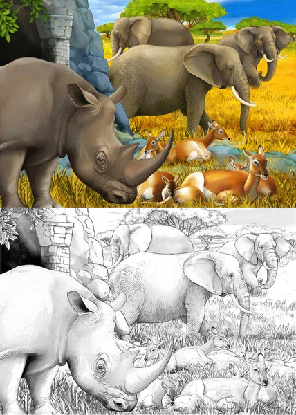 Cartoon sketch and color scene with rhino rhinoceros antelope and elephant on the meadow illustration for children — Stock Photo, Image