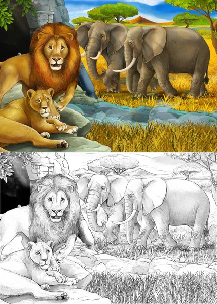Dessin animé et scène de safari en couleur avec des lions reposant et éléphant sur l'illustration de prairie pour enfants — Photo