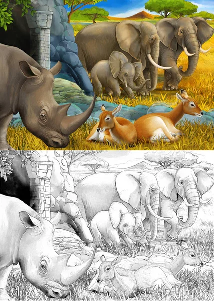 Cartoon sketch and color scene with rhino rhinoceros antelope and elephant on the meadow illustration for children — Stock Photo, Image