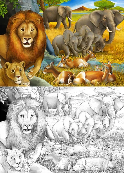 Szkic kreskówki i kolorowe safari sceny z lwami spoczywających i słoń na łące ilustracji dla dzieci — Zdjęcie stockowe
