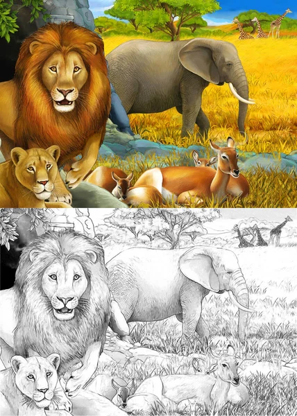 Szkic kreskówki i kolorowe safari sceny z lwami spoczywających i słoń na łące ilustracji dla dzieci — Zdjęcie stockowe