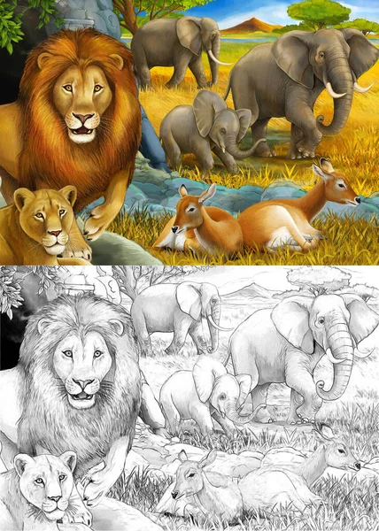 Dessin animé et scène de safari en couleur avec des lions reposant et éléphant sur l'illustration de prairie pour enfants — Photo