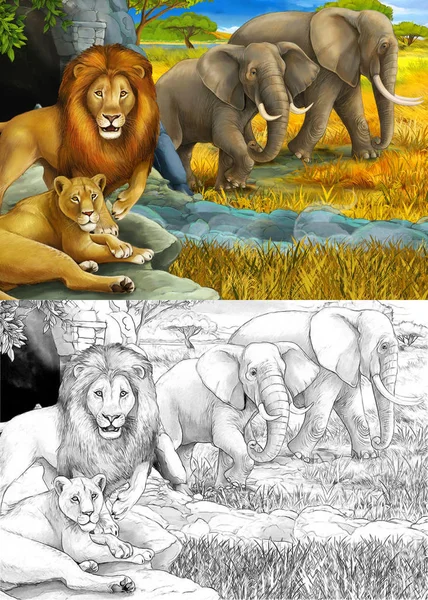 Desenho animado e cena de safári a cores com leões descansando e elefante na ilustração do prado para crianças — Fotografia de Stock