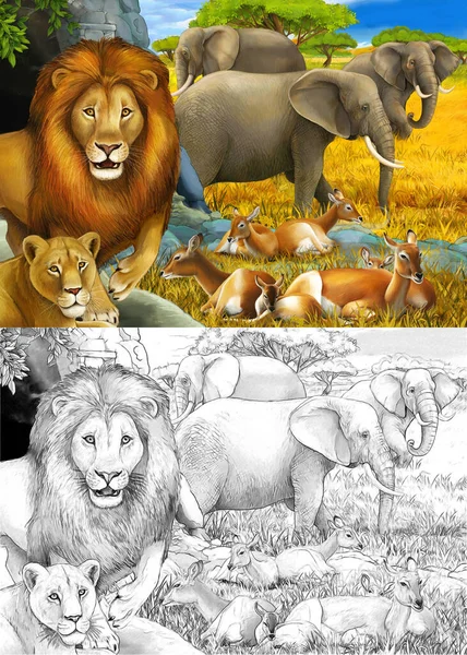 Dessin animé et scène de safari en couleur avec des lions reposant et éléphant sur l'illustration de prairie pour enfants — Photo