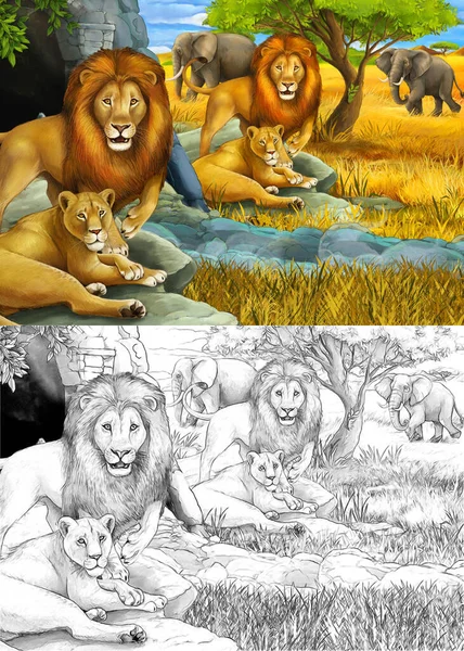 Sarjakuva luonnos ja väri safari kohtaus leijonat lepää ja norsu niitty kuvitus lapsille — kuvapankkivalokuva