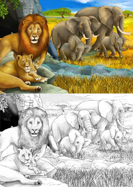 卡通画和彩色狩猎场景，狮子休息，大象在草地上为孩子们做图解 — 图库照片