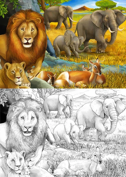cartoon sketch and color safari scene with lions resting and elephant on the meadow illustration for children