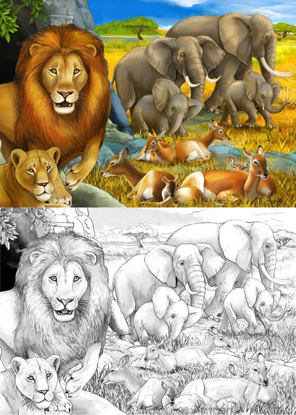 Cartoon safari scene with lions resting and elephant on the meadow illustration for children — Stock Photo, Image