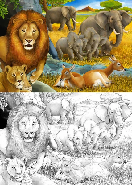 Kreslený náčrt a barevné safari scény se lvy odpočinku a slona na louce ilustrace pro děti — Stock fotografie