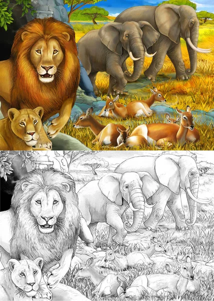 Dessin animé et scène de safari en couleur avec des lions reposant et éléphant sur l'illustration de prairie pour enfants — Photo