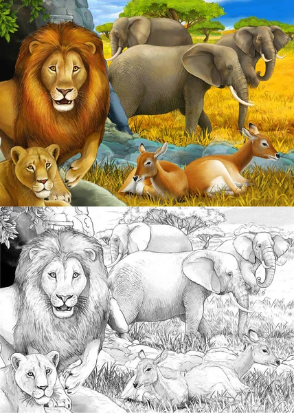 Dessin animé et scène de safari en couleur avec des lions reposant et éléphant sur l'illustration de prairie pour enfants — Photo