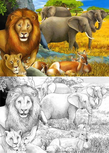 Kreslený náčrt a barevné safari scény se lvy odpočinku a slona na louce ilustrace pro děti — Stock fotografie