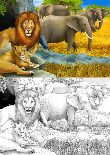 Çizim ve renkli safari sahnesi. Aslanlar dinleniyor ve çocuklar için çayır illüstrasyonunda fil var. — Stok fotoğraf