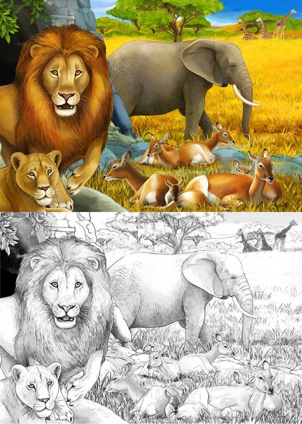 Disegno del fumetto e scena safari a colori con leoni a riposo ed elefante sul prato illustrazione per bambini — Foto Stock