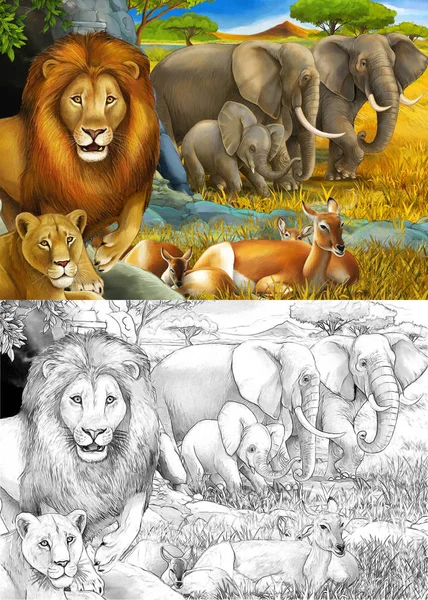 漫画のスケッチや子供のための牧草地のイラストにライオンの休息と象と色のサファリシーン — ストック写真