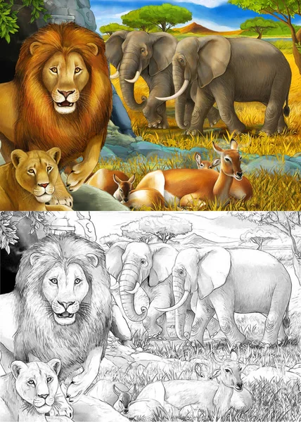 Dessin animé et scène de safari en couleur avec des lions reposant et éléphant sur l'illustration de prairie pour enfants — Photo