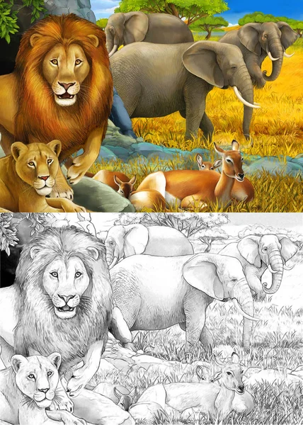 Dessin animé et scène de safari en couleur avec des lions reposant et éléphant sur l'illustration de prairie pour enfants — Photo